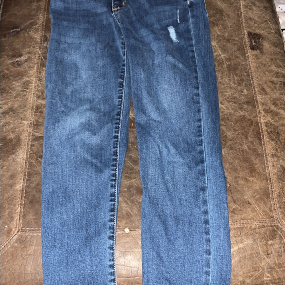 Jordache Classic Blue Skinny Jeans